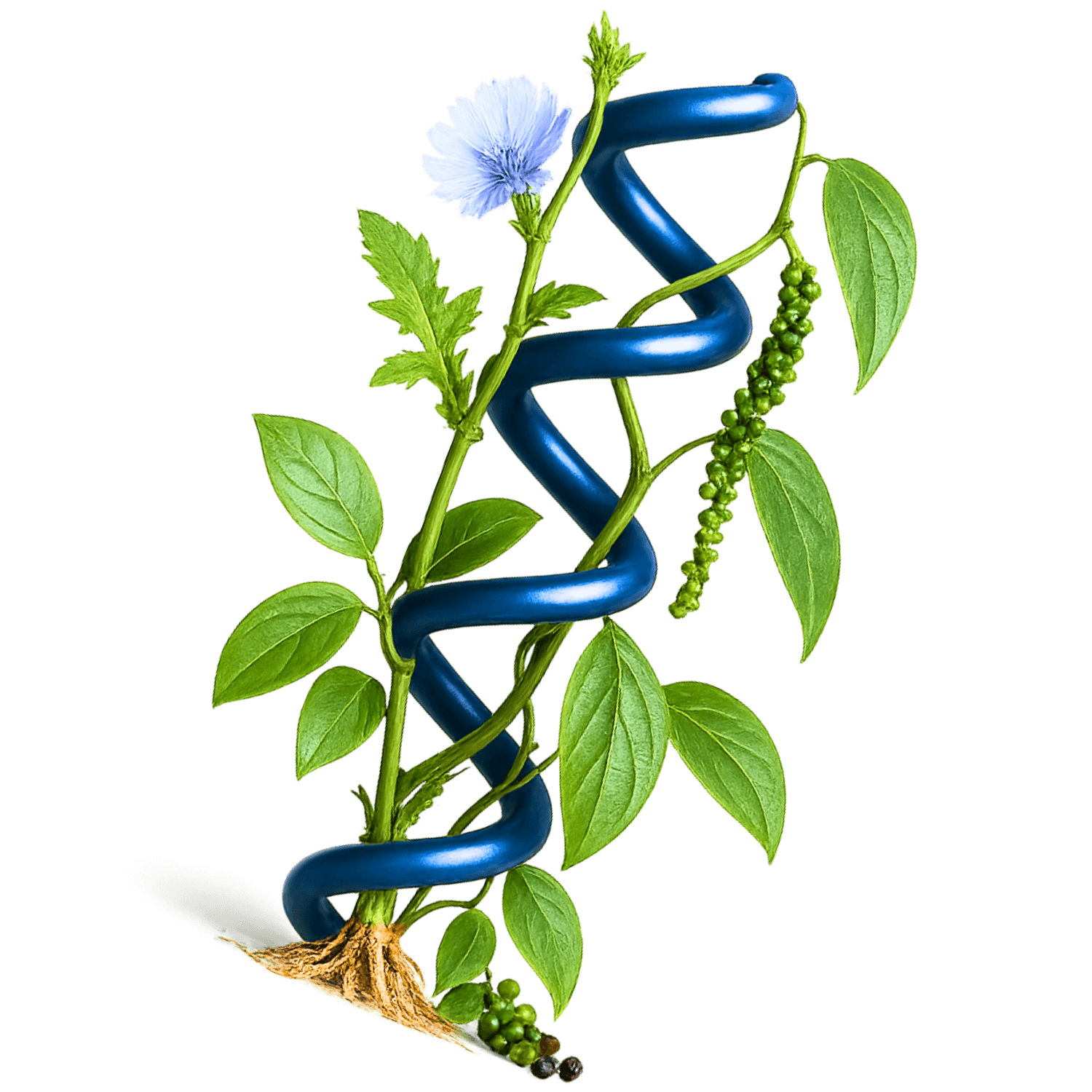 Lepší vstřebávání